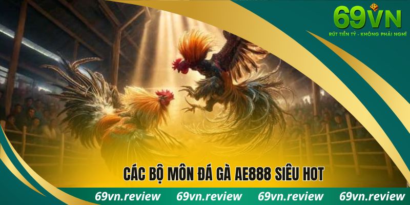 Các bộ môn đá gà AE888 siêu hot