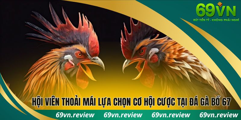 Hội viên thoải mái lựa chọn cơ hội cược tại đá gà bồ 67