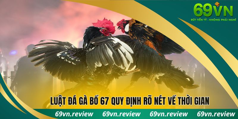 Luật đá gà bồ 67 quy định rõ nét về thời gian