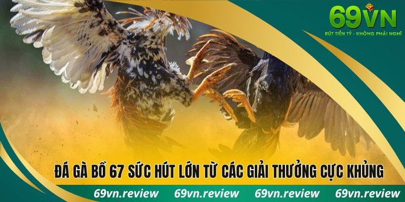 Đá gà bồ 67